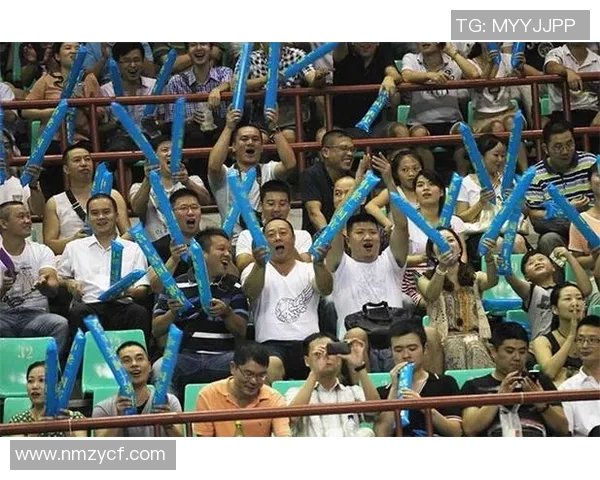 北京羽毛球队的控制革新与未来发展战略深度解析